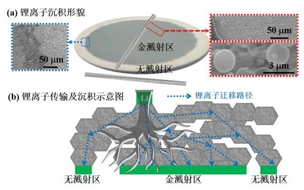 中科院關于非對稱結構固態(tài)電池研究取得新進展