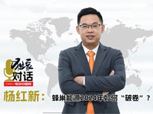 獨家｜對話楊紅新：蜂巢能源2024年如何“破卷”？